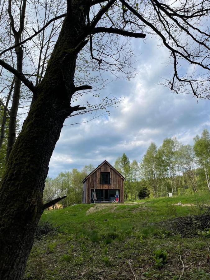 Mlynowiec 4Rest Строне-Слёнске Экстерьер фото